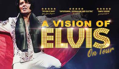A Vison of Elvis, Palace Theatre, Paignton 