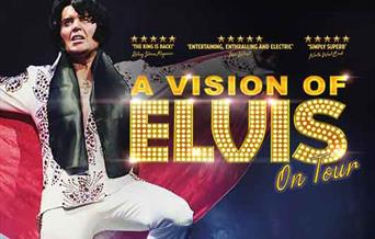 A Vison of Elvis, Palace Theatre, Paignton