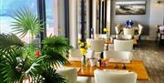 Some inside tables and chairs with vases of daffodils on the tables, a floor standing plant in the foreground and floor to ceiling windows with the se