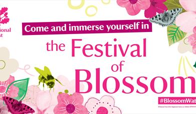 Blossom Week at Coleton Fishacre