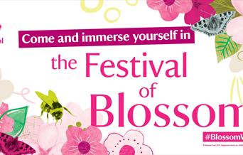 Blossom Week at Coleton Fishacre