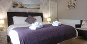 Double Bedroom, Blenheim House, Torquay, Devon