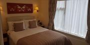 Superior Double Bedroom at Blue Waters Lodge, Paignton, Devon