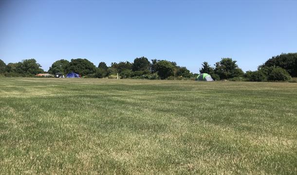 Flat camping pitches at Wall Park camping in Brixham, Devon