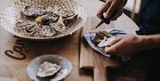 Fresh oysters from Cantina Kitchen in Paignton, Devon