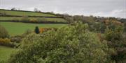 View from Coastal Country Retreat, 13 Longpark Hill, Maidencombe, Torquay, Devon