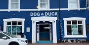 Dog and Duck Torquay, Devon