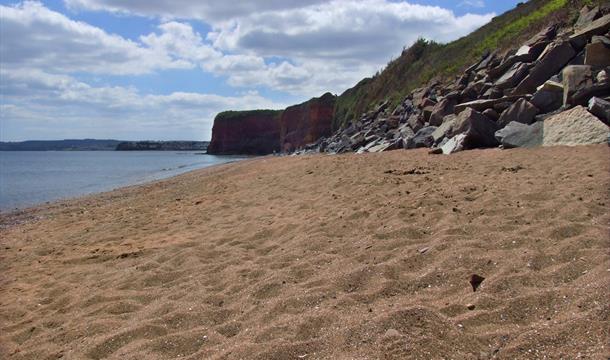 hollicombe beach