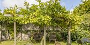 Pilgrim Rests shared Orchard garden