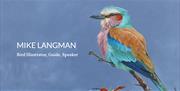 Mike Langman, Bird Illustrator, Guide and Speaker