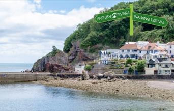 View from the sea across to Babbacombe beach and quay and the Cary Arms.
