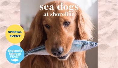 Sea Dogs at Shoreline, England's Seafood FEAST