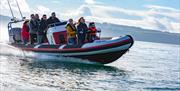 Enjoying the Rib Ride across the English Riviera Bay with South West Rib Rides