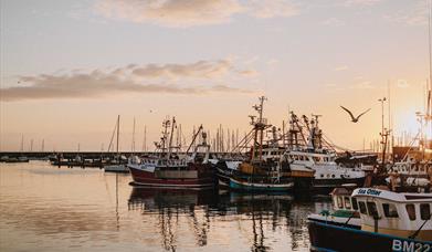 Brixham Trawlers, England's Seafood FEAST, Torquay, Paignton and Brixham, Devon