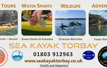 Sea Kayak Torbay