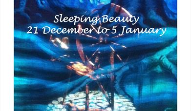 Sleeping Beauty, Palace Theatre, Paignton