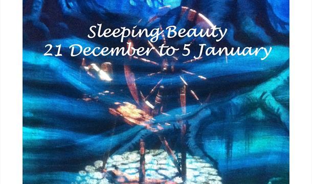 Sleeping Beauty, Palace Theatre, Paignton