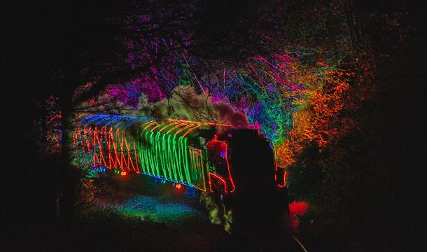 Train of Lights through the enchanted forest before approaching Kingswear.