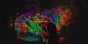 Train of Lights through the enchanted forest before approaching Kingswear.