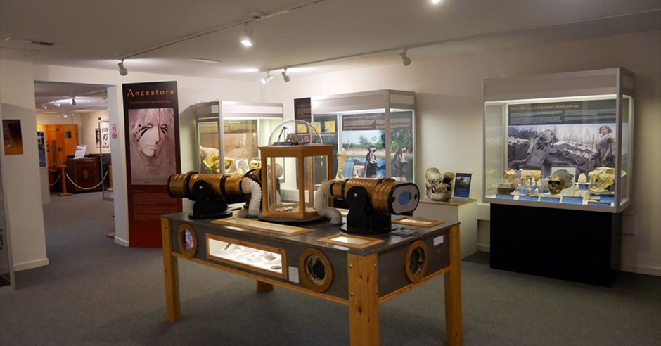 Torquay Museum Museum in Torquay, Torquay English Riviera