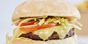 Venus food classic burger at Venus Cafe, Broadsands, Devon