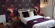 Double Bedroom, The Wellsway, Bampfylde Road, Torquay