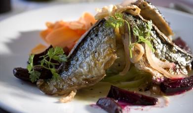 English Riviera Eating Out Offers