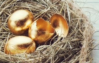 The Occombe Golden Egg Hunt