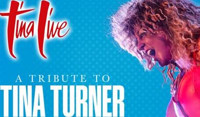 Tina Live - The Tina Turner Experience, Babbacombe Theatre, Torquay
