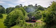 The Goliath vintage steam train engine with carriages travelling through the English Riviera Countryside. Dartmouth Rail and River Boat Company.