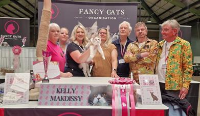 An Overall Best in Show Cat from a Previous Show