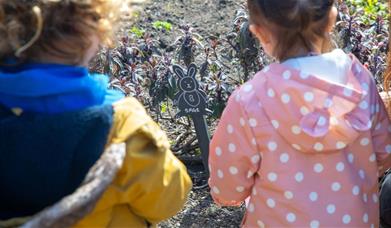 Discover treats, spring plants, and bunnies in the Charlton House garden beds