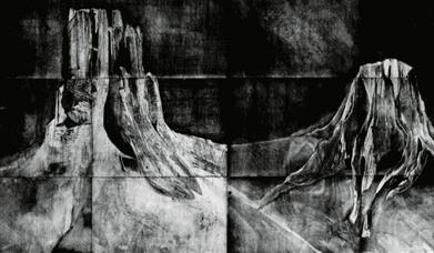 Come and listen to experts as they discuss the future of 'climate art'.