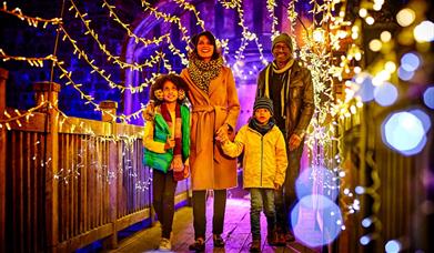 Explore the grounds and gardens to discover a magical world of illumination, sound and colour