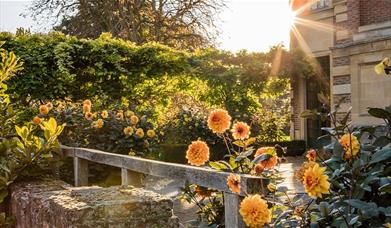 Orange Flowers in front of Eltham Palace