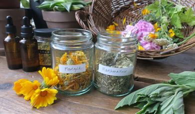 Learn about the connections between women, plants and health through history and create your own aromatic spray with essential oils