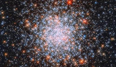 The Morning Stars planetarium shows are designed for anyone who would benefit from a calmer and more relaxed environment, in particular those with aut