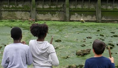 Find out all about the skills needed to survive being washed ashore in Deptford Creek.