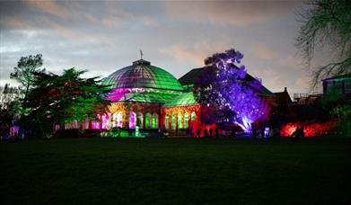 A spectacular light trail with fairground rides, activities, live performances and delicious food to add on to your Christmas festivities.