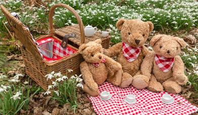 In this workshop, we will make a teddy bear picnic, and explore sizes and textures