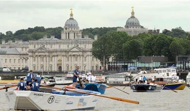 The apprentice race covers 7 miles of river from Greenwich Reach to Westminster Bridge.