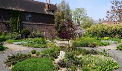 Join Dr Stella Butler for a talk and dive into the fascinating history of the making of Charlton House Gardens from 1607-1925