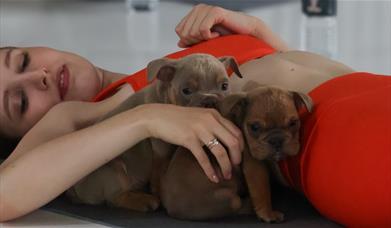Stretch, strengthen, and cuddle with playful puppies as you flow through a simple workout