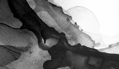Come and join the regular Conservatoire tutor Kirsten for a bespoke one-off workshop to explore the rich medium of ink