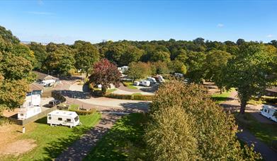 Abbey Wood Park's Caravan site with big green trees around it