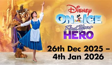 Disney On Ice presents Find Your Hero, an adventure filled with tales of heroism from your favourite Disney stories