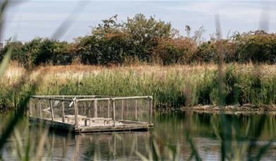 Women’s Nature Wellbeing Club takes place on selected dates every month at Greenwich Peninsula Ecology Park