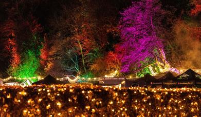 Sparkle in the Park is back for a fourth year this Christmas