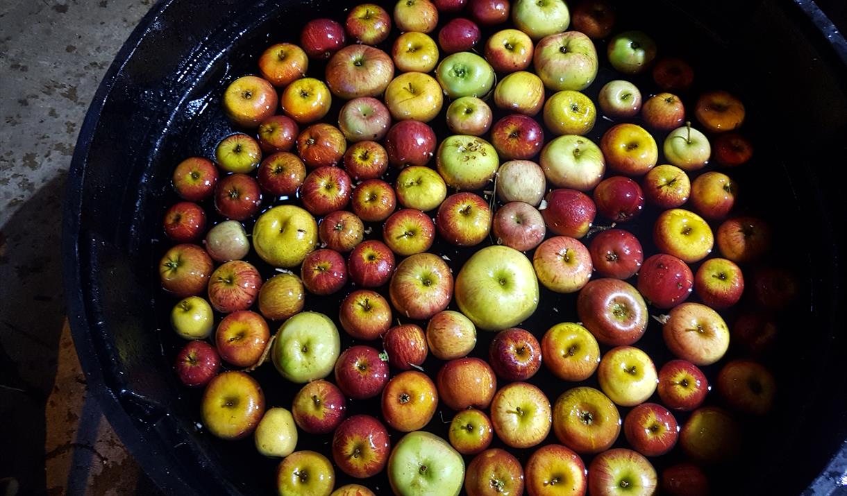 Browse a selection of local food stalls and pick up some of the wonderful different British Apple varieties.