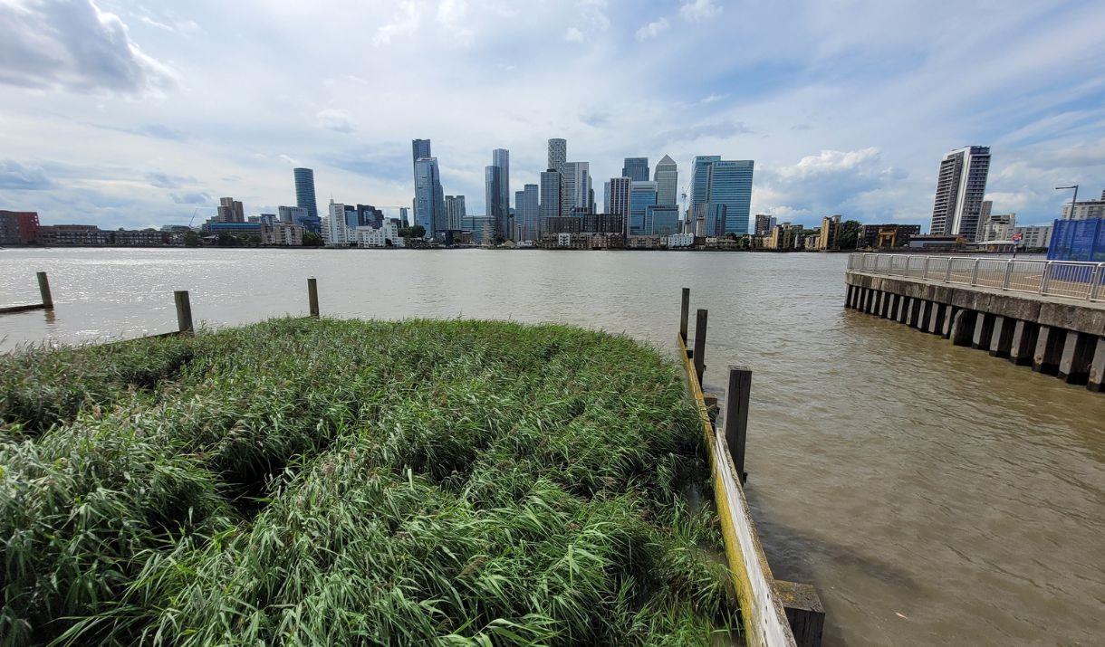 Explore the lesser-known environmental past and present of London's famous river